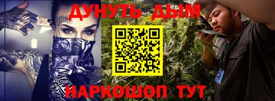 сатива Краснодар