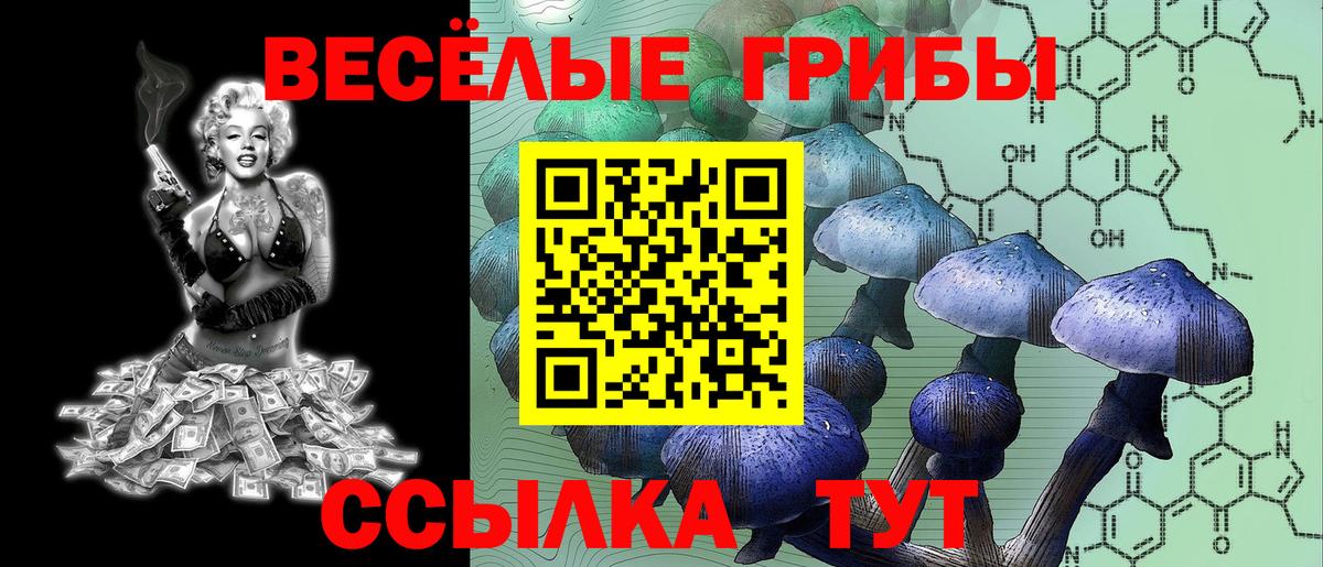 Псилоцибиновые грибы GOLDEN TEACHER  Вход с VPN  Ижевск  Псилоцибиновые грибы MAGIC MUSHROOMS 