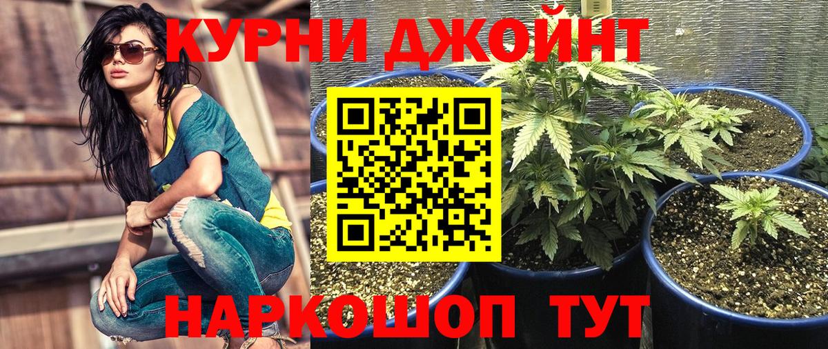 Бошки Шишки сатива Ижевск